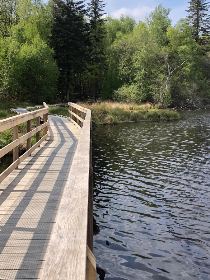 Chatizel Paysage Realisations IMG 1945 15